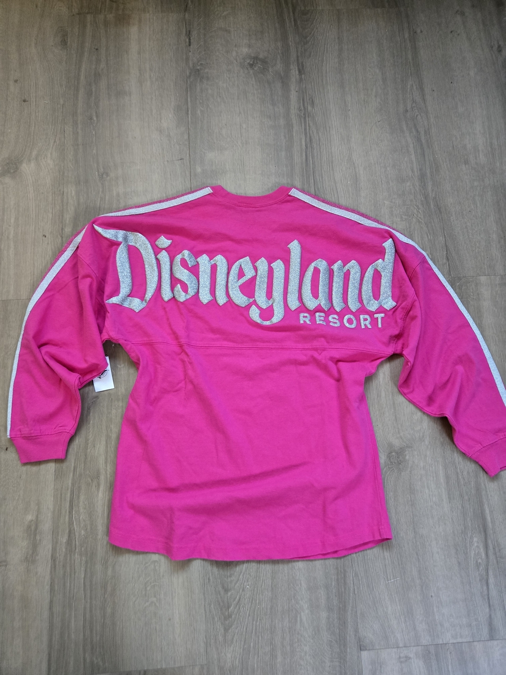 Disneyland Spirit Jersey